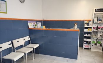 Consultorio Veterinario Petirrojo