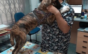 Centro Veterinario Torrejón