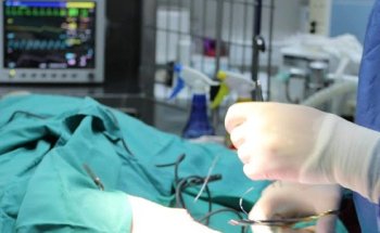 Centro Veterinario Confivet