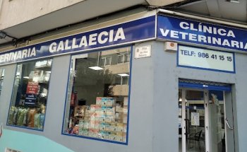 Clínica Veterinaria Gallaecia