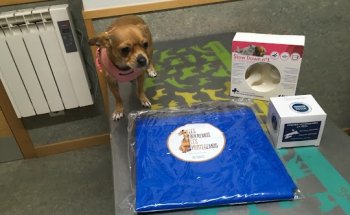 Centro Veterinario La Guia