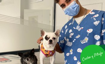 Clínica Veterinaria Cruz Verde - Vigo -