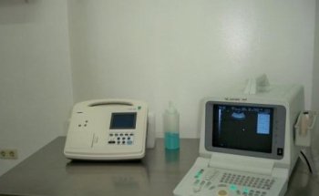 Centro De Urgencias Veterinarias