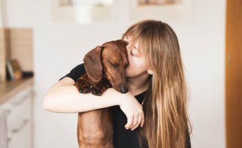 Cuatro Patas Clínica Veterinaria