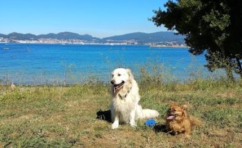 Clínica Veterinaria Poly