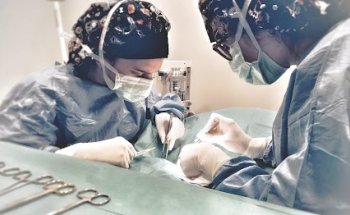 Clínica Veterinaria Menciña