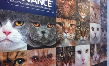 Clínica Veterinaria Zaragoza