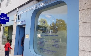 VeTerapia Centro veterinario y rehabilitación
