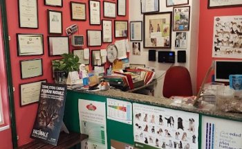 Clinica Veterinaria Coia