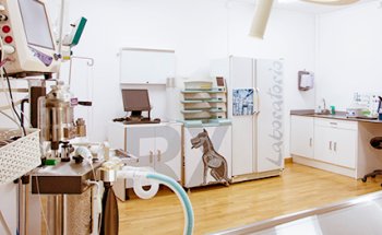 Ágora Clínica Veterinaria