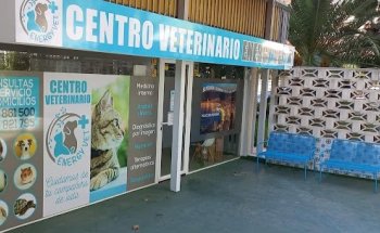 Centro Veterinario Energy Vet
