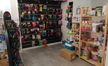 Centro clínico veterinario Boavet