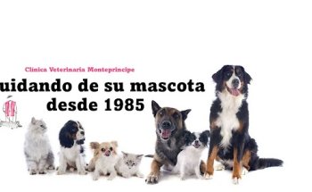 Clínica Veterinaria Montepríncipe