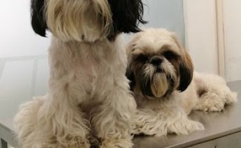 Centre Veterinari Poal