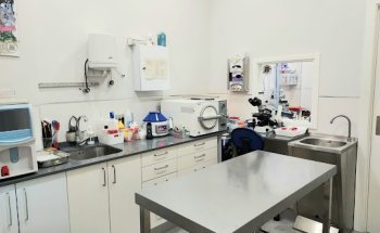 Centro Veterinario Animalia