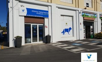 Clínica Veterinaria Mauna Loa