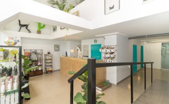 Clínica Veterinaria El Cau