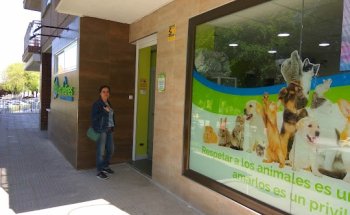 Centro Veterinario Los Delfines