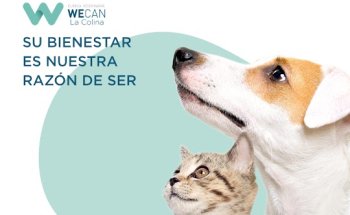 Clínica Veterinaria WECAN La Colina