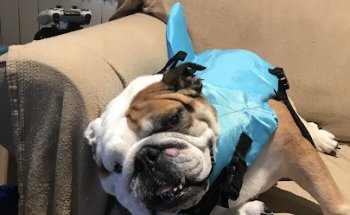 Clínica Veterinaria Méjico 17