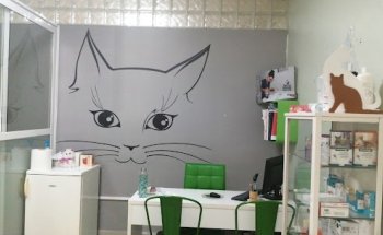 Clínica Veterinaria Azabache