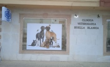 Clínica Veterinaria Huella Blanca