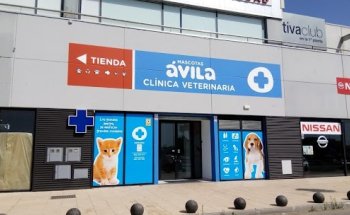 Clínica Veterinaria Ávila El Puerto
