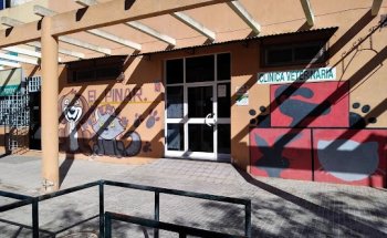 Clinica Veterinaria El Pinar