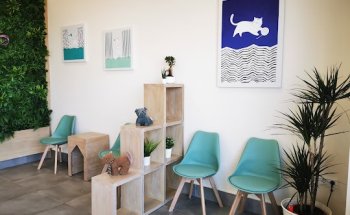 Centro de Especialidades Veterinarias Bahía Mar