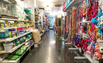 Centro Canino Ankawa