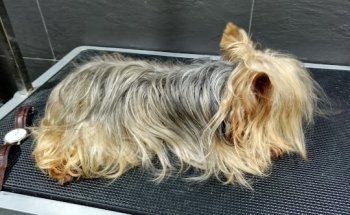 Somaza Serantes Juan Andrés