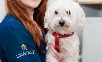 Clínica Veterinaria Tartanga Algorta