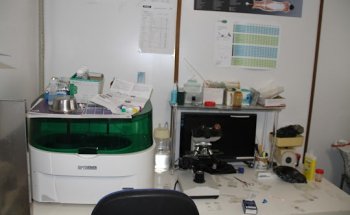 Veterinarios A Domicilio BIKELNOR