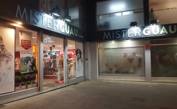 MISTERGUAU Granollers