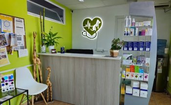 Clínica Veterinaria Ses Païses - Eivissa