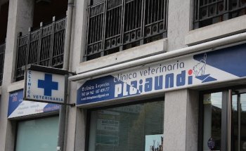 Clinica Veterinaria PIaiaundi