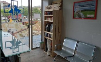 AmaitaVet Clínica Veterinaria