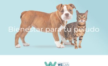 Clínica Veterinaria WECAN Las Rozas