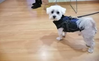 Clínica Veterinaria EsclaPET