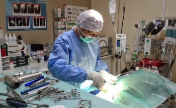 Centro Veterinario Eduna