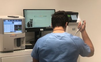 Clinica Veterinaria Dr Eugenio Cabezas