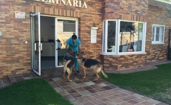 Clinica Veterinaria La Cornisa