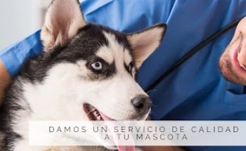 Clinica Veterinaria Molino de la Hoz - Veterinario Las Rozas