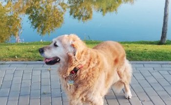 Centro Veterinario Eurocan El Cantizal