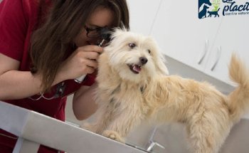 LA PLACITA Centro Veterinario