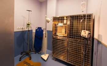 Clínica Veterinaria La Florida