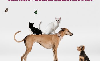 Clínica Veterinaria Alcora