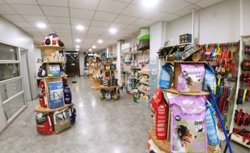 Aquivets | Clínica Veterinaria Manresa