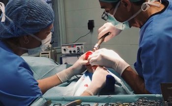 Clínica Veterinaria Bestiari