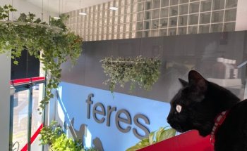 Feres Hospital Veterinari